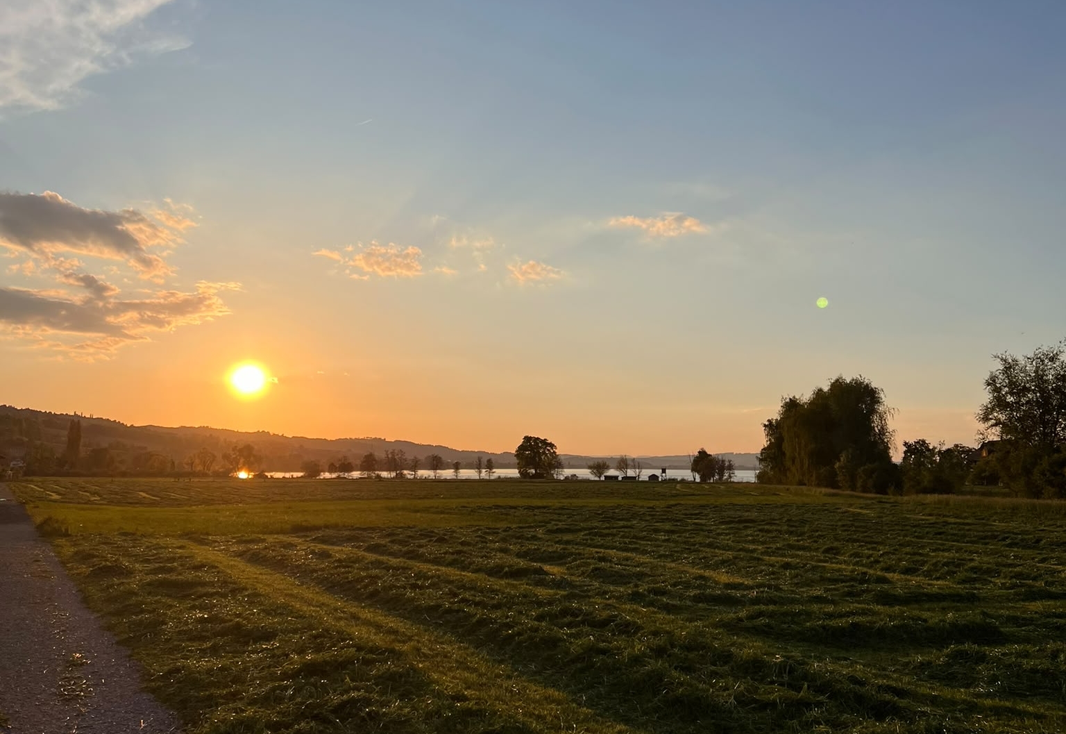 Am Sempachersee. © Münzenberg Medien, Foto: Bartholomäus Maus, BU: Ole Bolle, Ort und Datum der Aufnahme: Sempacher See bei Sempach, 29.4.2025