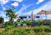 Italienisches Logbuch: 24.5.2025